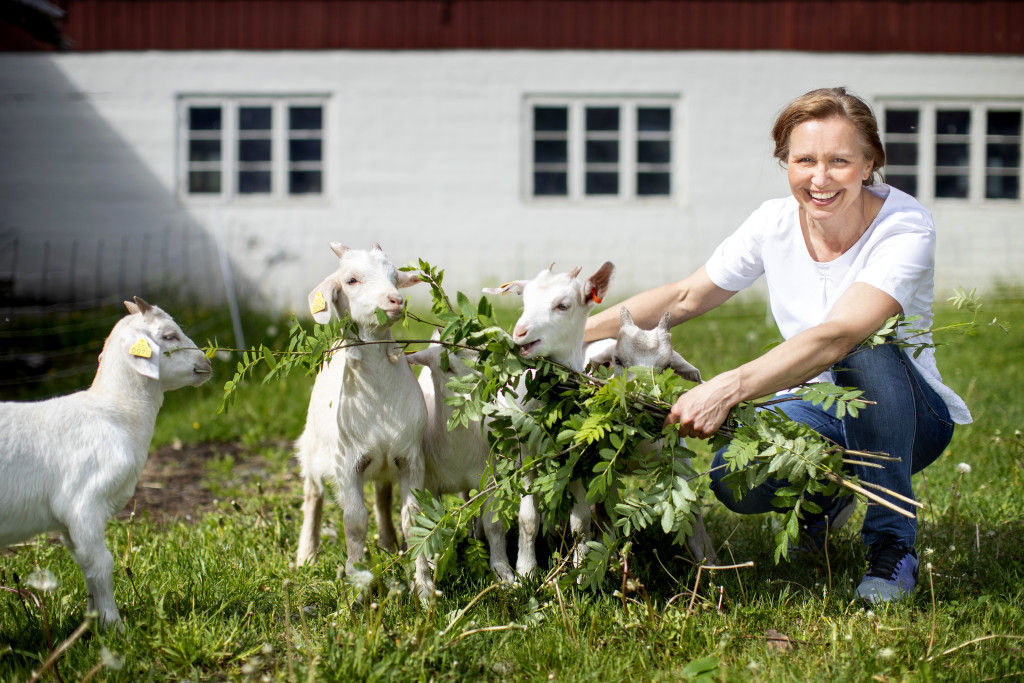 Vertinnen og geitekillinger
