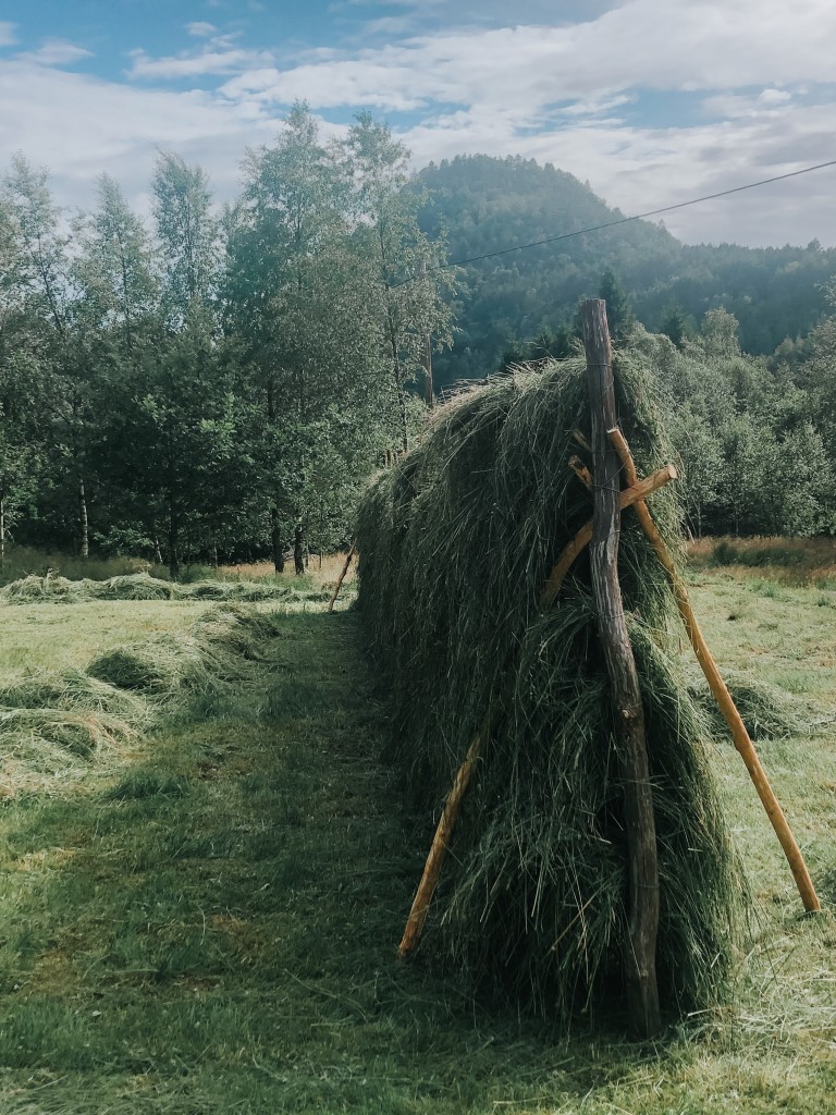 Hesene er et vakkert syn på sommeren, men krever mye jobb og mange hjelpsomme hender.