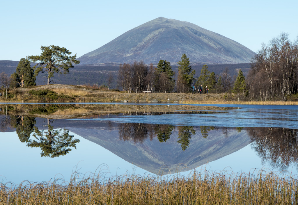 Langtjønna