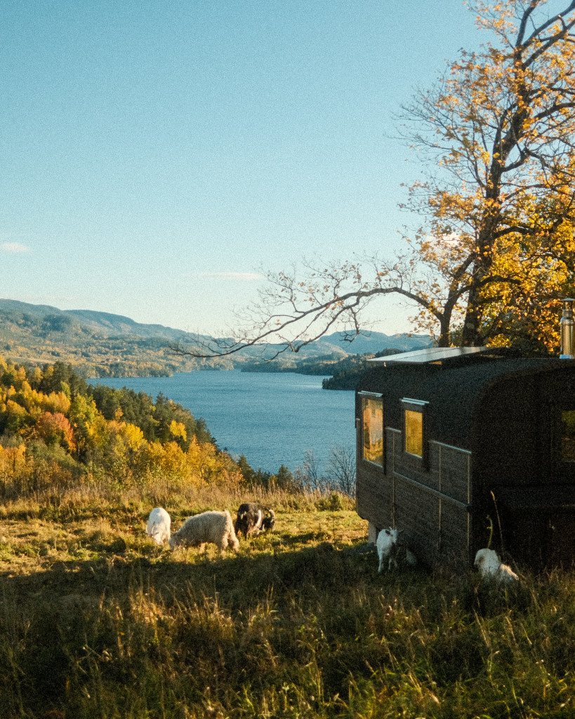 Velkommen til Utsikten, den unike perlen på Syftestad Gard