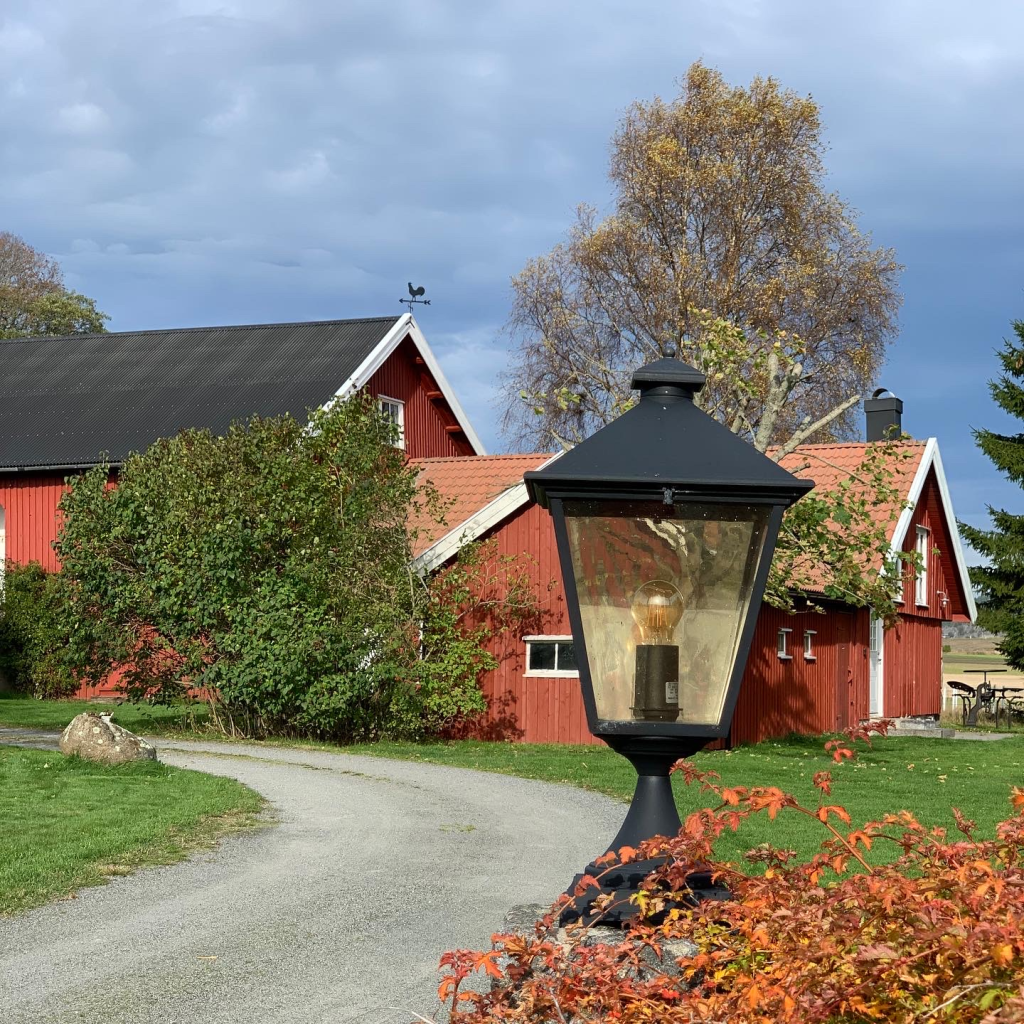 Høst på Morellgården