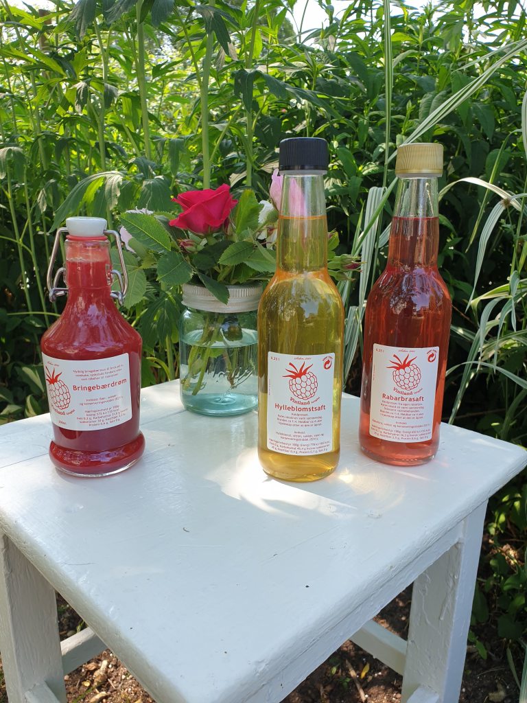 Rabarbra og hylleblomst saft