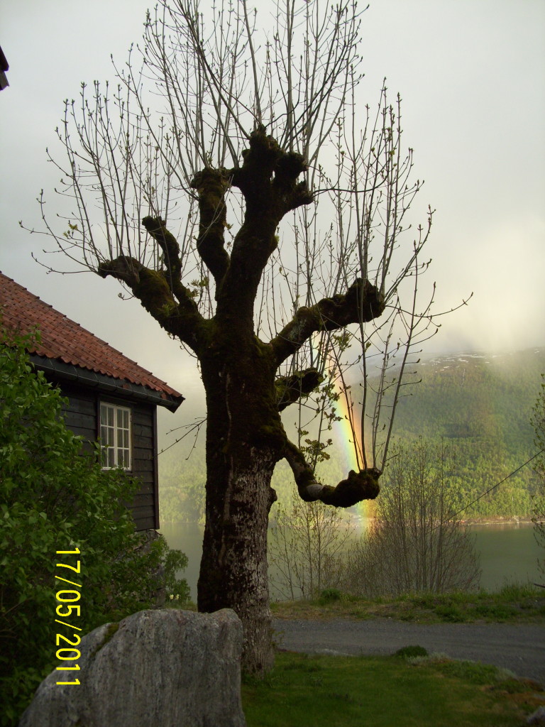 Nedrebergtunet