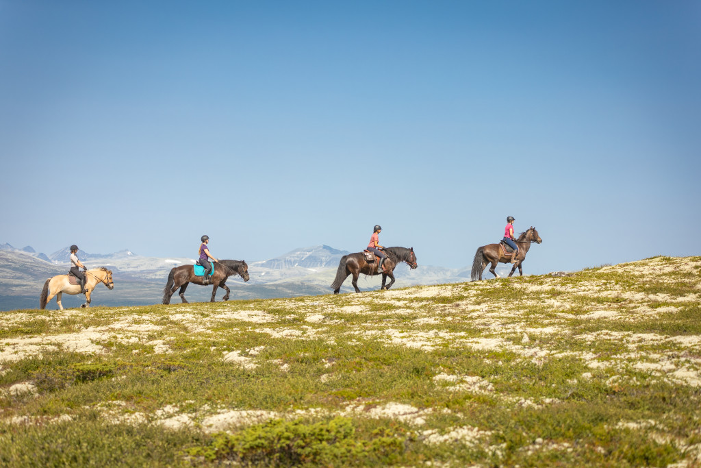 Venabustallen tilbyr ridning i fjellet juni-oktober.