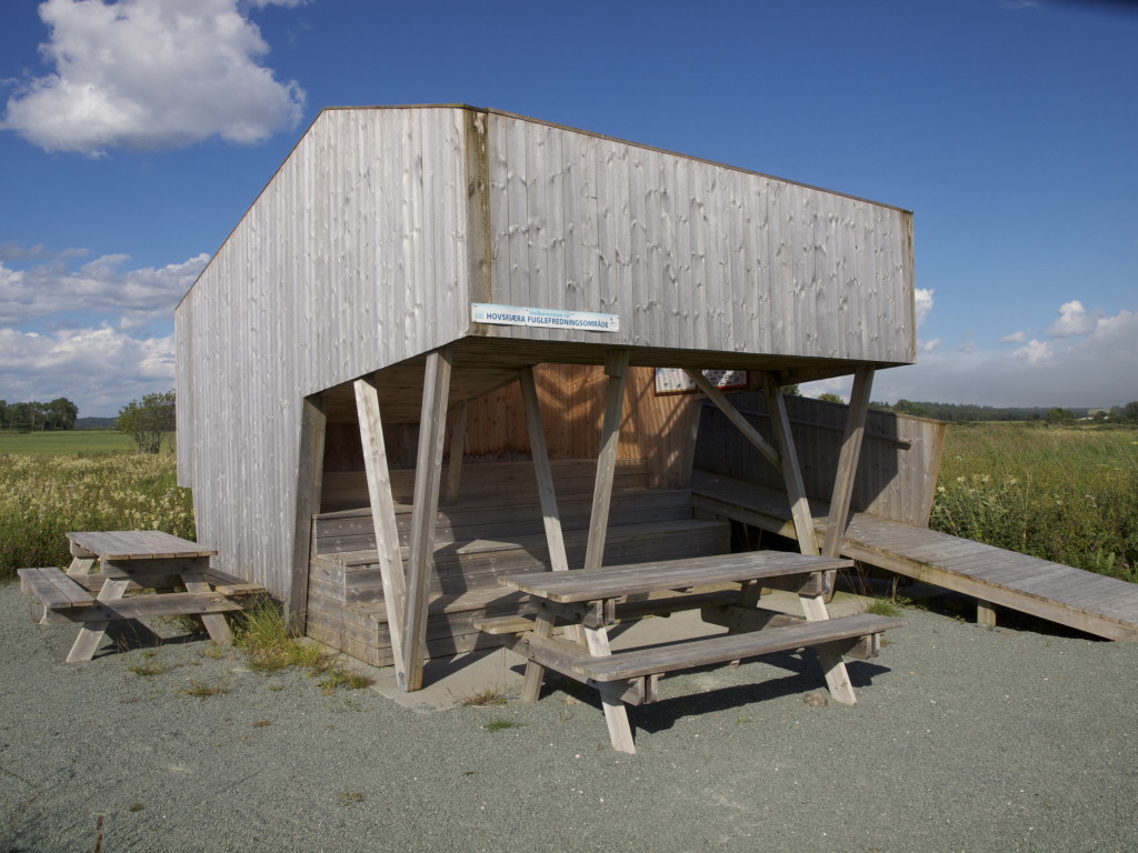 Fuglekikking i Hovsfjæra. Det er mange Ramsauområder i Ørland. Mange fugler og fuglearter å se.