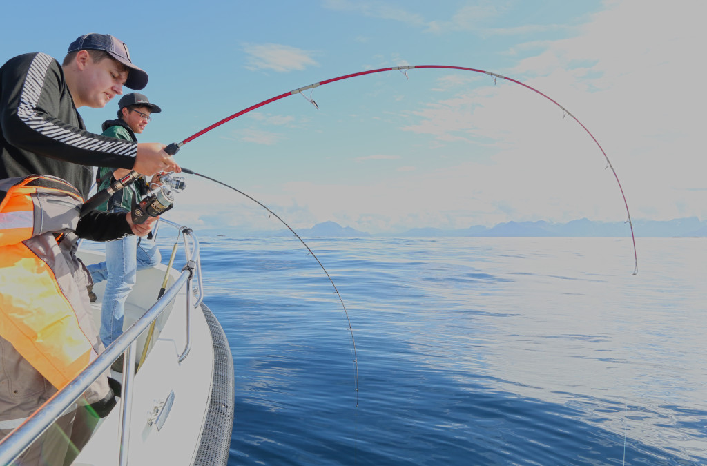 Bli med på guidet fisketur og opplev havfiske!