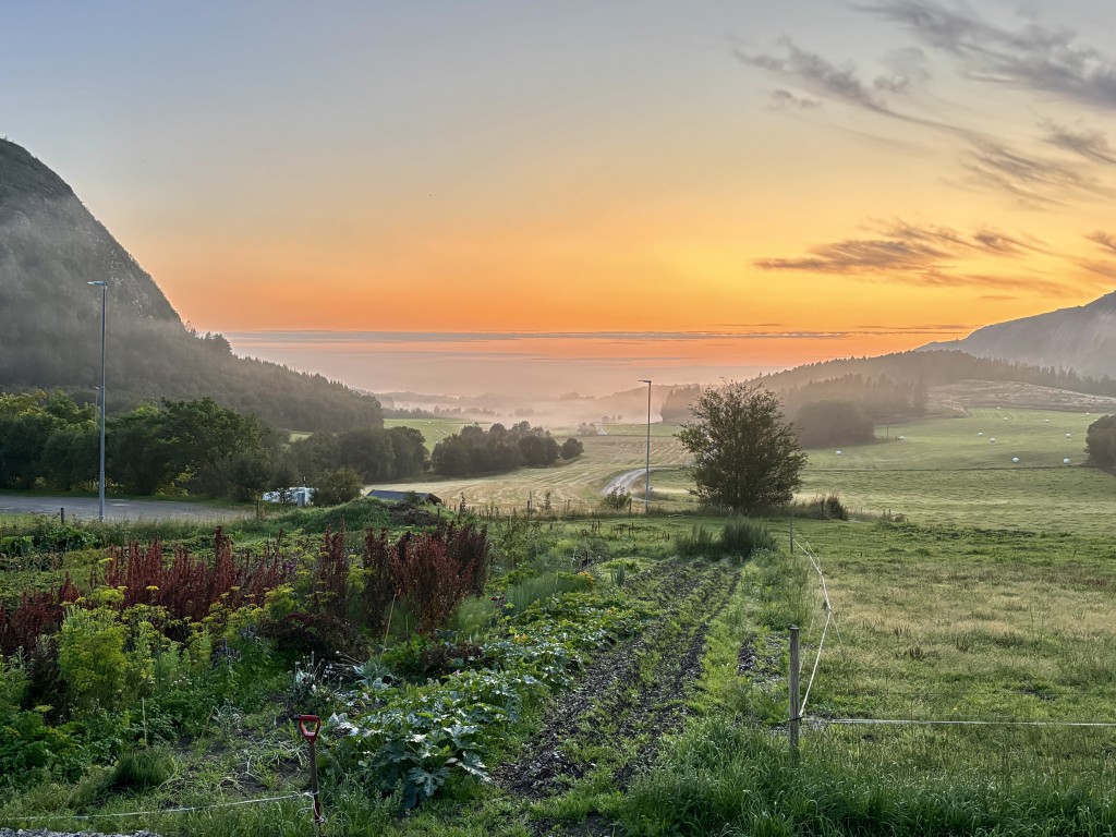 Utsikt fra Matgarasjen en sensommerkveld