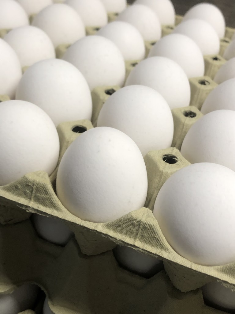 Ferske gårdsegg fra frittgående høner.