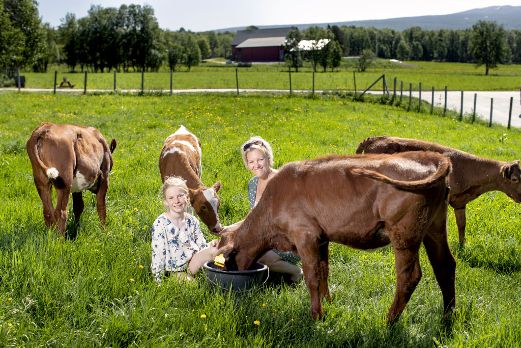 Linnea og Anita sammen med kalvene ved tunet.