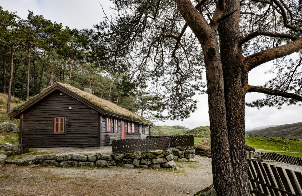 Fra hyttetunet