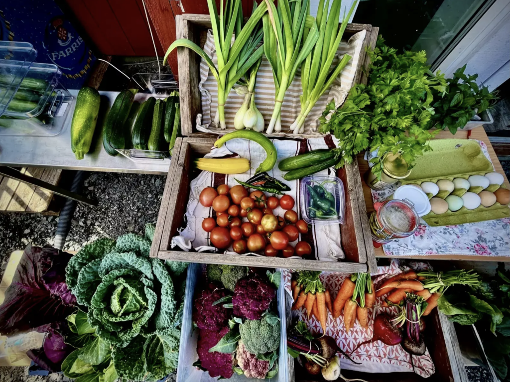 Utvalget i gårdsbutikken (om sommeren)
(Summer time selection of greens)