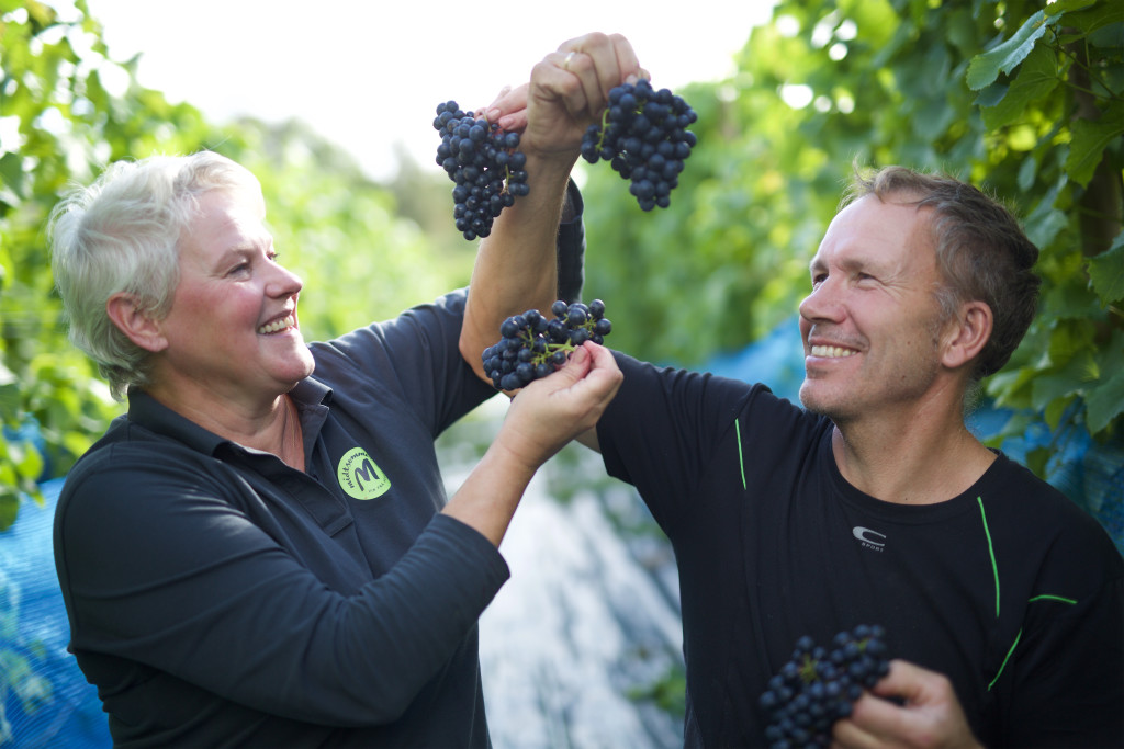 Vinbøndene på Hebnes vingard dyrker druer og produserer eigen vin under labelen Midtsommar vin. I sommarsesongen opnar vingarden dørene for turistar som får vere med på omvisning og vinsmaking av gardens eigne vinar.