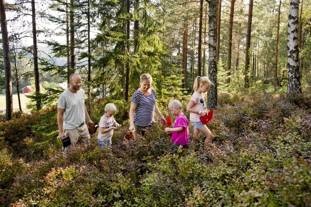 Høsting av naturens overskudd er viktig for oss.
