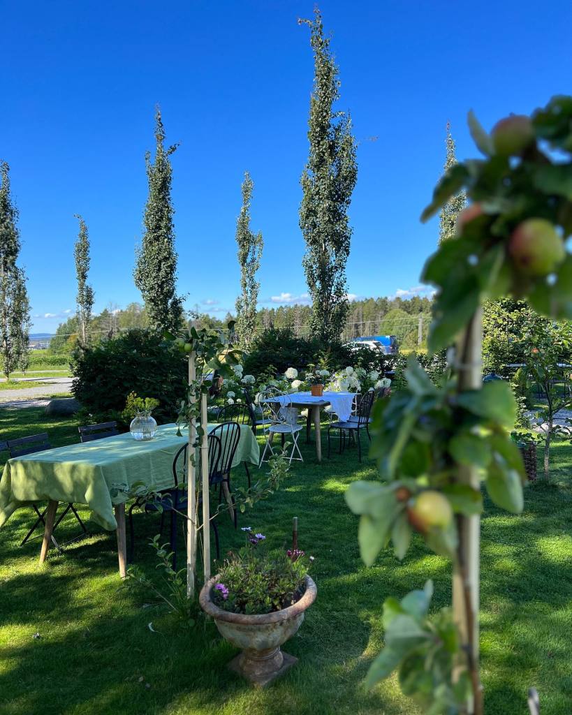 Vår hage har en helt spesiell betydning for oss. Hvert vår blir den et samlingspunkt for lokale beboere, badeentusiaster og hyttegjester. Den er rik på blomster som vi bruker til å dekorere våre tallerkener, som igjen speiler fargene i den vakre naturen rundt oss. Fra jord til bord gjenspeiler våre tallerkener mangfoldet av mat, og hagen vår gir rom for alle og enhver, uavhengig av hvem man er.

Hagen vår er et lekent sted, samtidig rolig for de som søker stillhet, idyllisk og harmonisk. Her dyrker vi blomster, grønnsaker og urter, og duftene som omgir oss er rett og slett nydelige. Vi inviterer deg til å oppleve denne unike atmosfæren, der naturens skjønnhet og vår omsorg for den smelter sammen for å skape en uforglemmelig opplevelse.