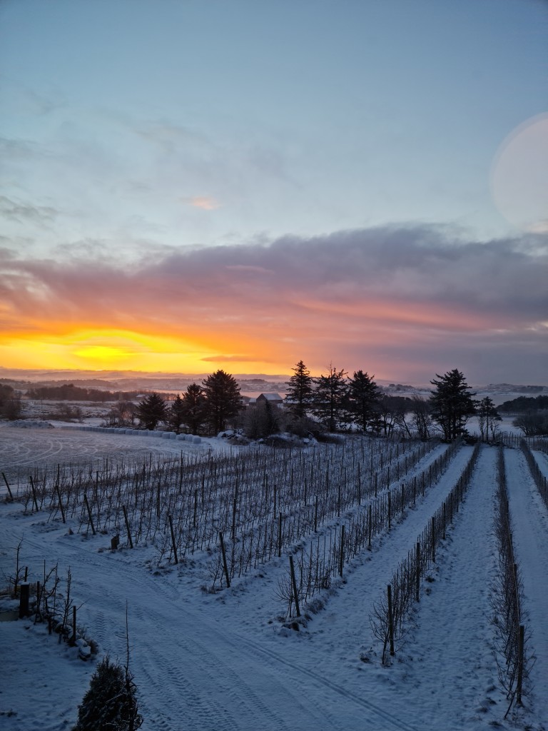Vinter