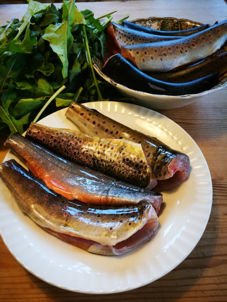 Middagen kan du fiske sjølv!