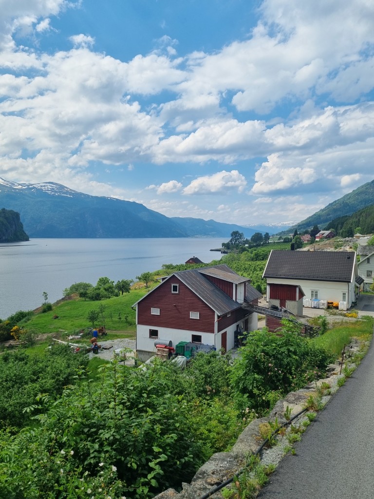 Fra Norane Fruktgard