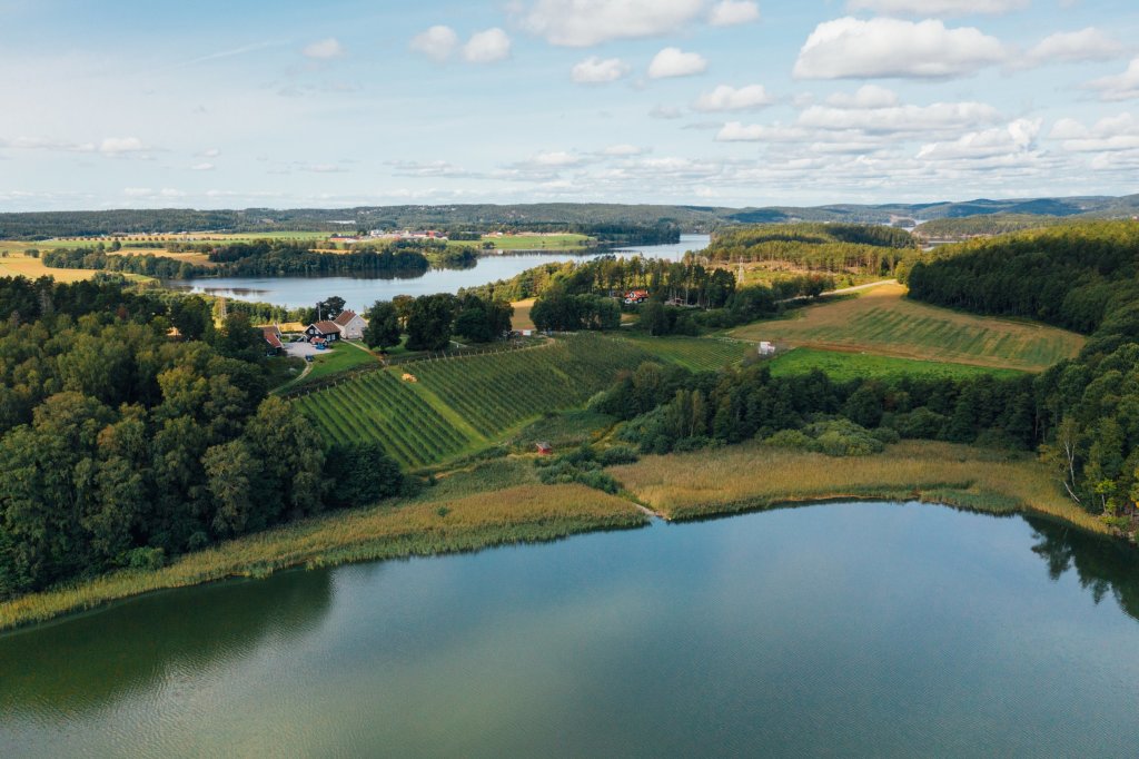 Dronefoto av Stenerød Gård, med Tunevannet nederst i bildet.