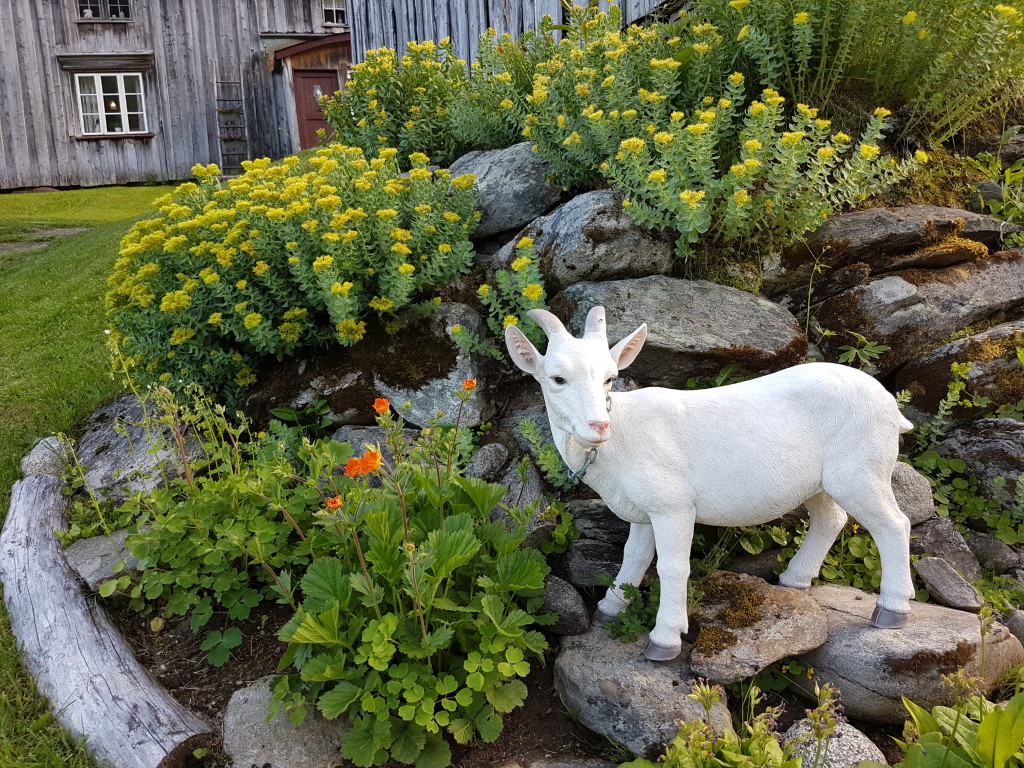 Inderdalen i blomsterprakt. Kalvdans på Kjellerberget.