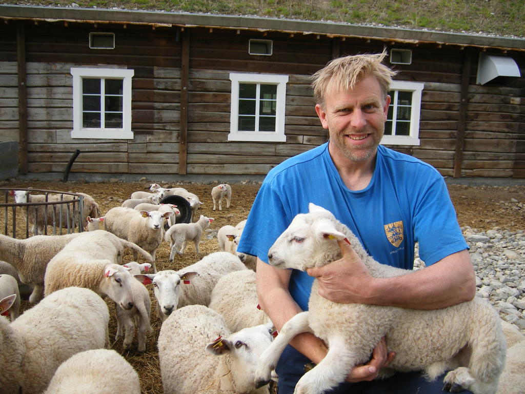 Harald Sve Bjørndal ein hektisk vårdag med lamma på garden.