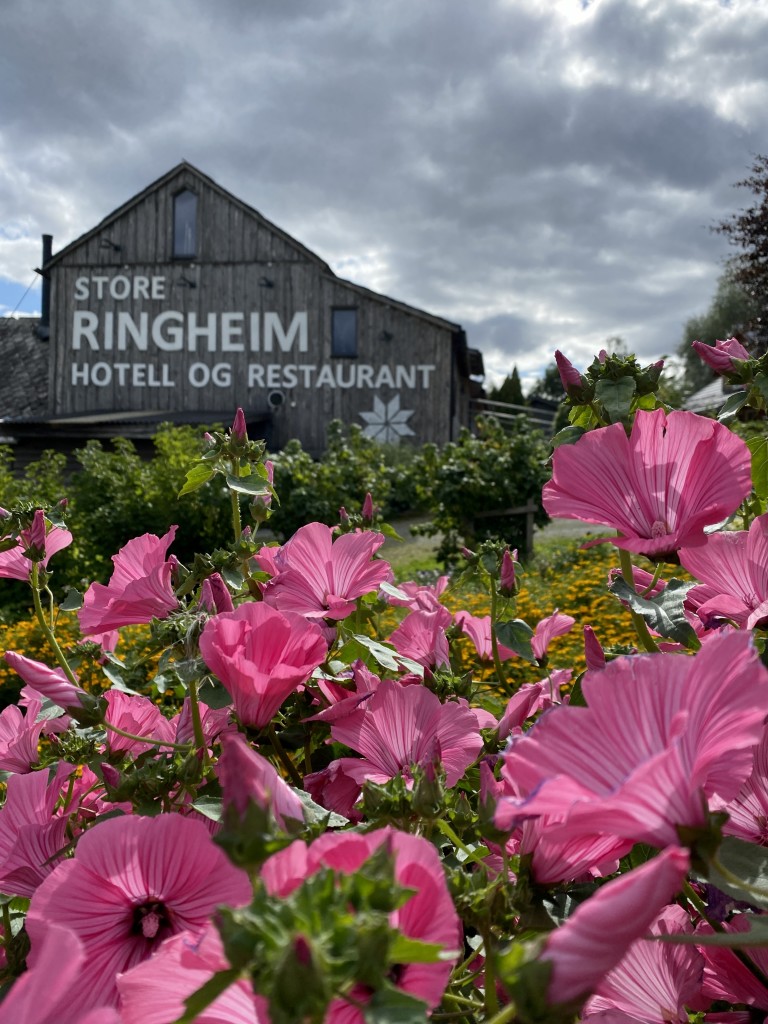 Frå kjøkkenhagen, Store Ringheim hotell & restaurant.