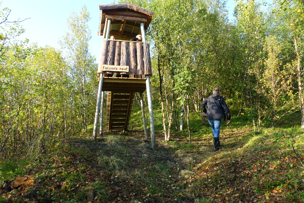 Fugleobservasjons-tårn "Falcon's nest". Årlig besøker oss de mest fantastiske fugler, både våren og høsten. Står man i tårnet ser man over trærspissene og ha en fantastisk utsikt over elvedalen og i det fjerne fjellene.