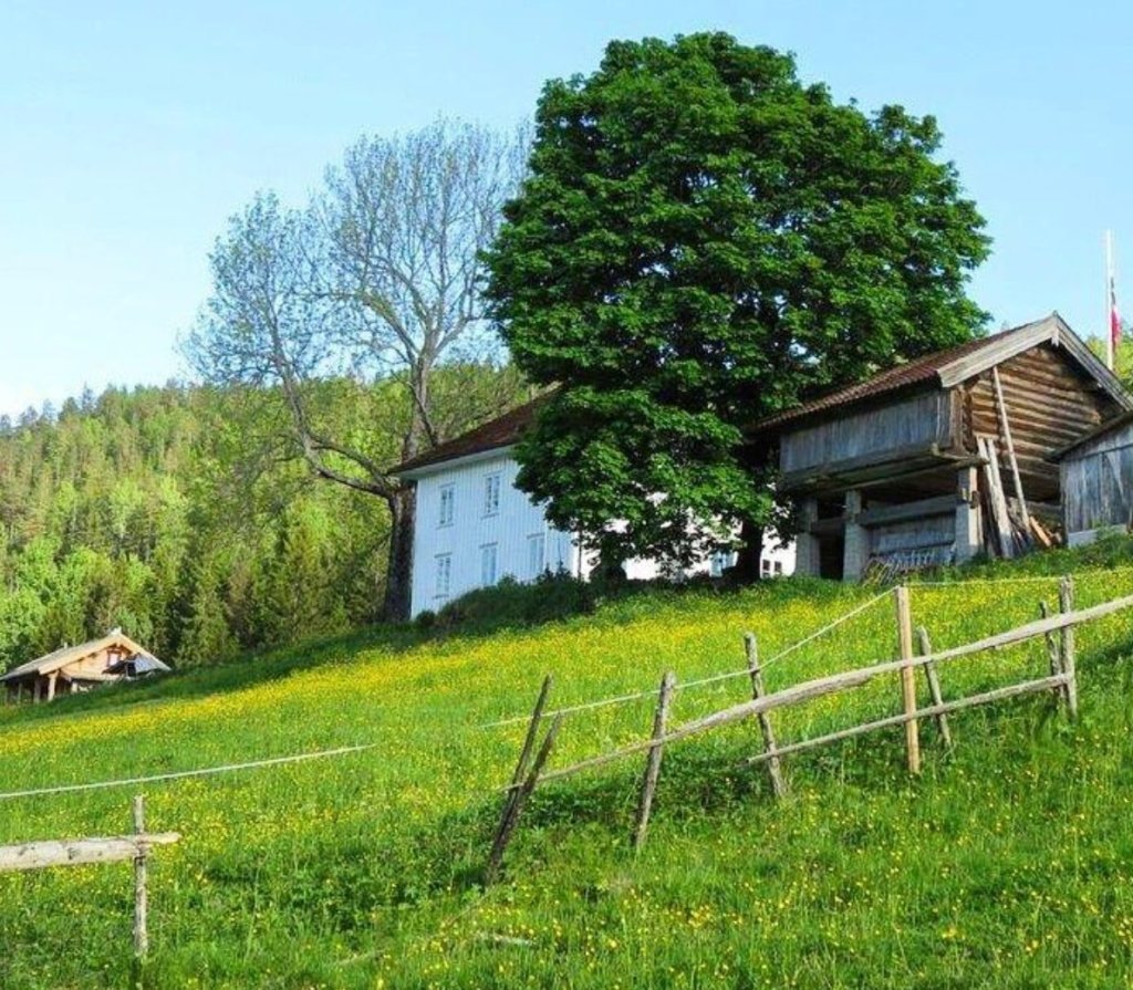 Tjønnås Gard ligger vakkert til på åsen. I over 1000 år har det bodd folk her.