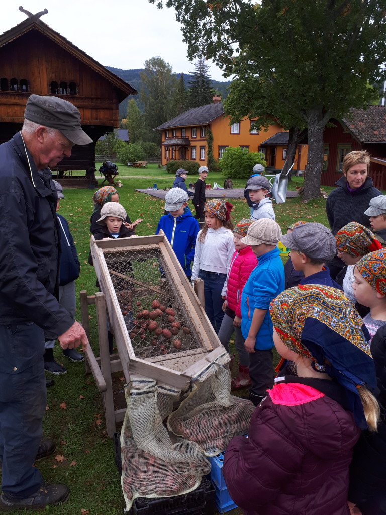 Kulturarv i Den kulturelle skulesekken på 2000-talet ; 4.klassingar brukar "Potetskiljaren", konstruert og patentert av familien Evju på 1930-talet. Levande kulturformidling