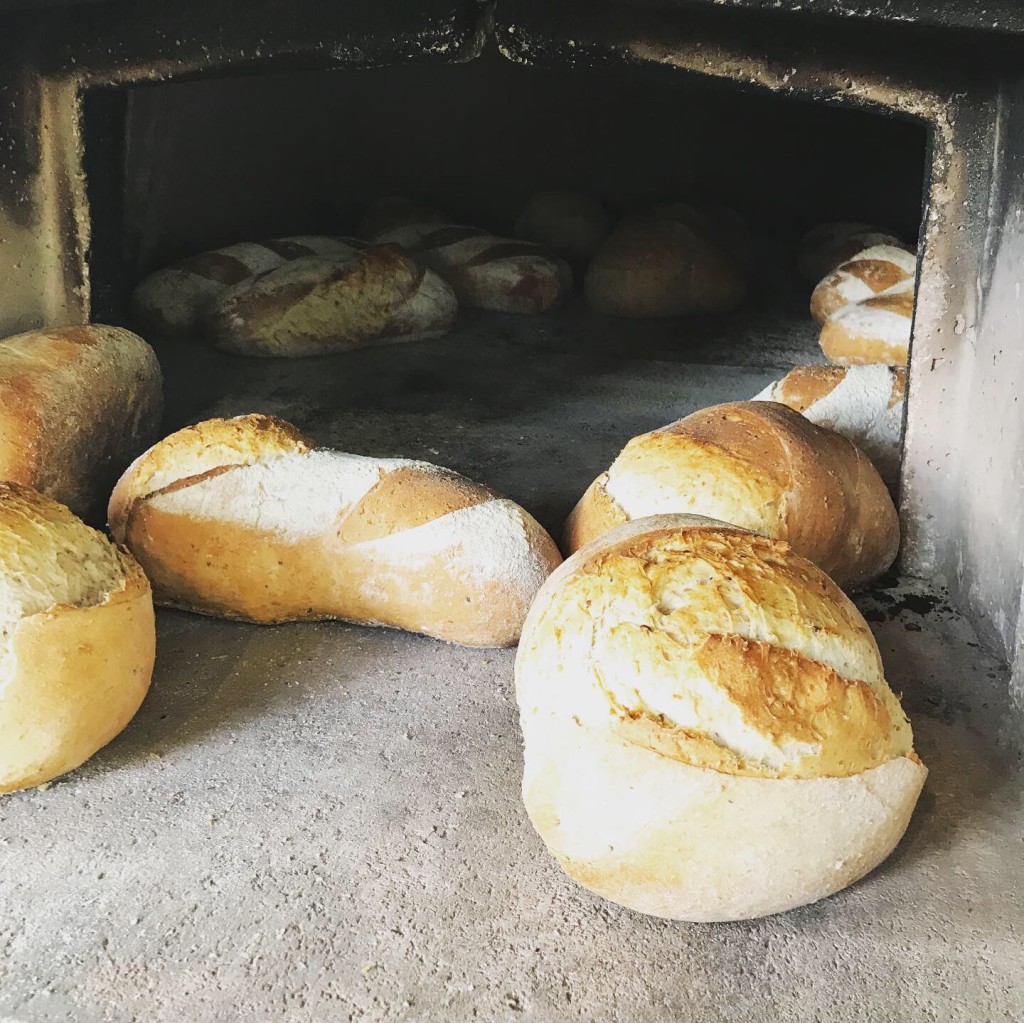 Steinovnsbakte brød