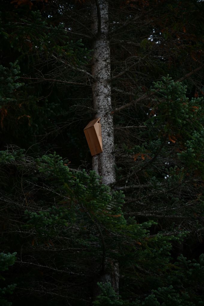 Her på Marmelkroken har vi etablert en rekke arkitekttegnede fuglekasser tilpasset de lokalt hekkende trekkfuglene. Fuglekassene er designet og bygd av arkitektfirmaet Biotope.