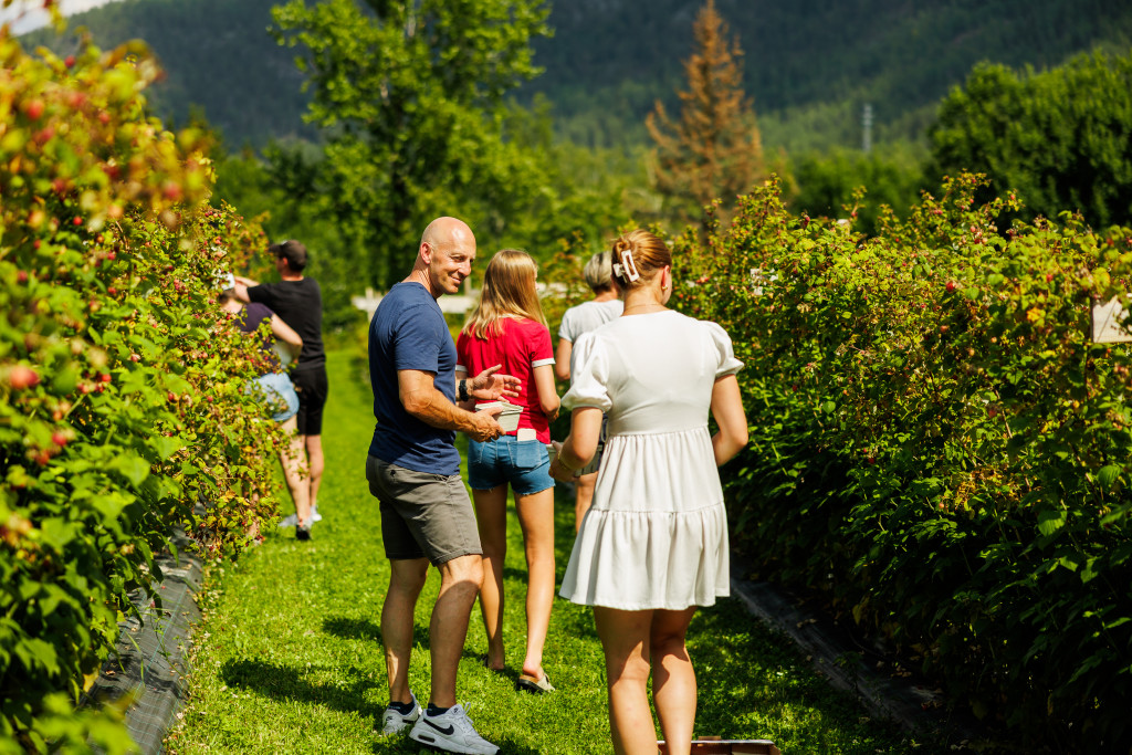 Del tid med nære og kjære gjennom jordnære gårdsaktiviteter.