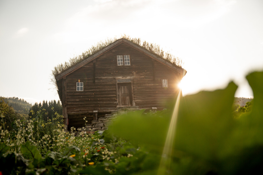 På stabbursloftet tek vi imot grupper til omvising og servering av smaksprøver. Velkomne! On the stabbur loft we receive groups for a tour and tasting event. You are welcome try our cider and cheese in an authentic environment!