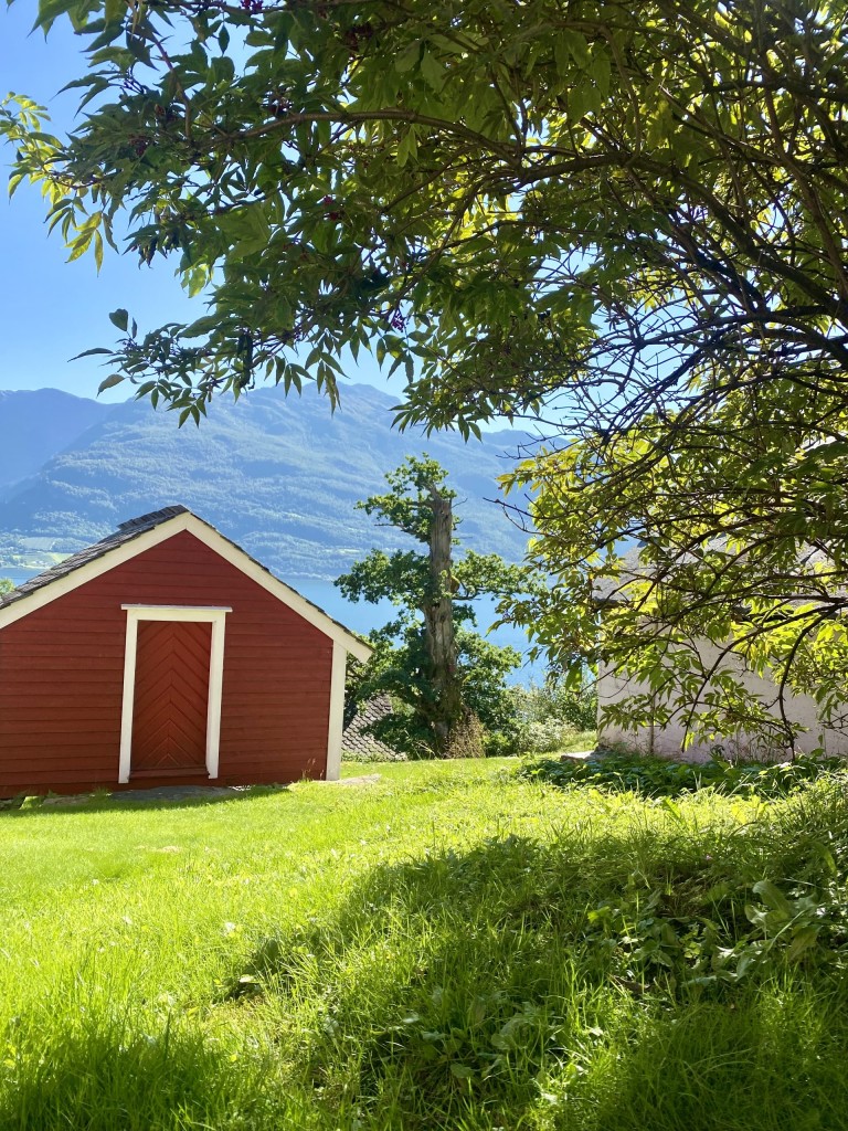 Eika på Velure, eit symbol på ei stødig bedrift. Eika er omlag 1200-1500år gammel men vert grøn og vakker kvart einaste år.