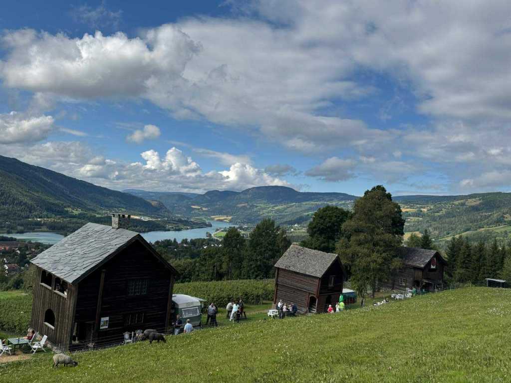 Bringebæropplevelser med utsikt over Gudbrandsdalen.