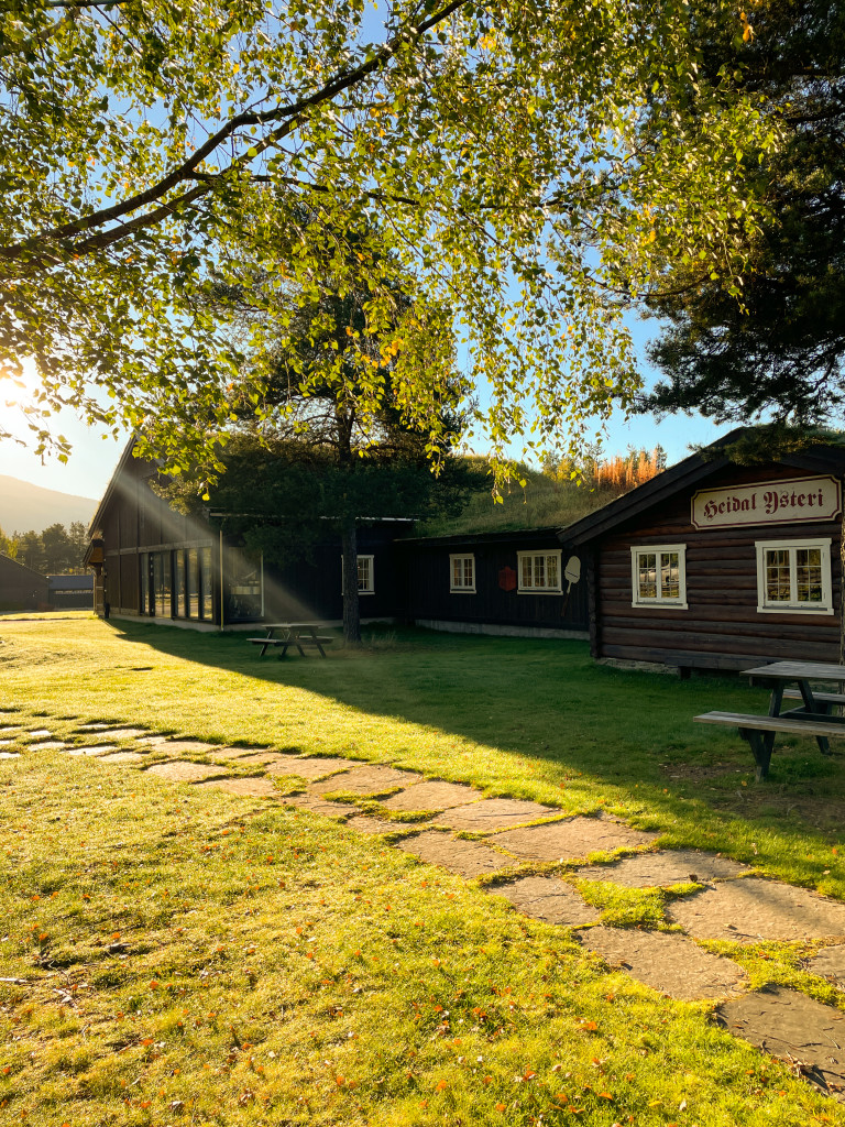 Velkommen til Heidal Ysteri