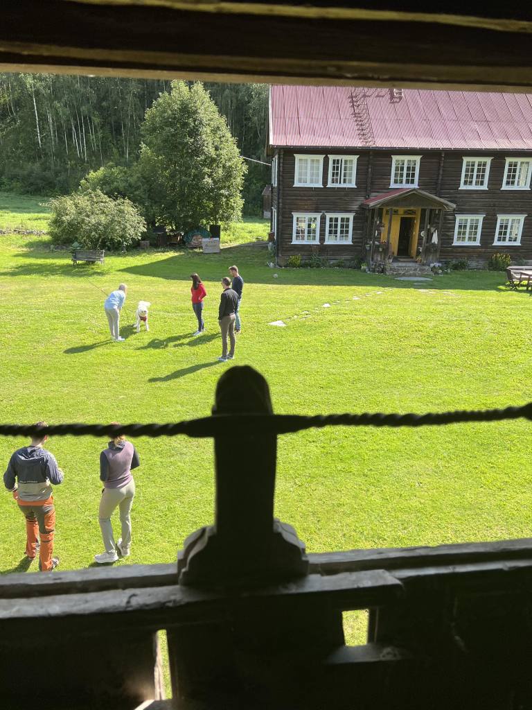 Utsikt fra Sevleloftet. De mange svalene som holder til på tunet flyr inn og ut av disse gluggene hele sommeren lang. /// Sevletunet er en slektsgård i øvre Numedal, midt mellom Kongsberg og Geilo. Det er to fredede bygninger på tunet og mye historie og sjel i alle vegger. Vi forteller historiene om gården og den dramatiske fortellinga om "Sevleguten", og serverer hjemmelaget mat. Gro startet gårdsturisme på Sevle i 1997. Gjestegården drives av mor og datter Sevle - Gro og Margun, som er 5. og 6. generasjon. Vi tilbyr overnatting med hjemmelaget frokost og middag, i tillegg til å arrangere kulturhelger, kurs og seminarer. Vi tar også imot busser på rømmegrøt og spekemat. Hjertelig velkommen til gårds! ///