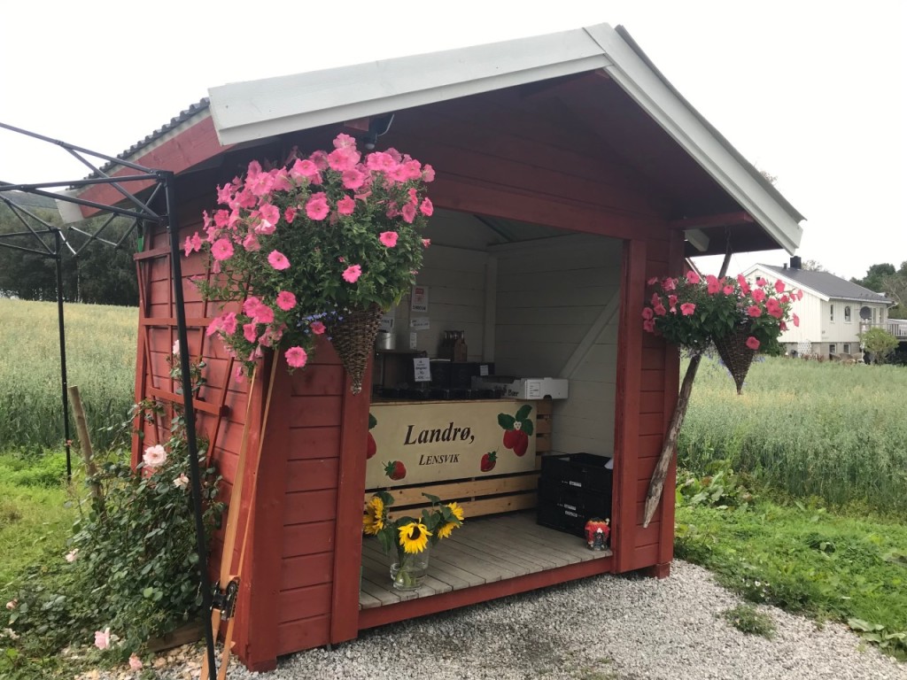 Vi har en liten selvbetjeningsbu på gården, som selger jordbær om sommeren, og forskjellige jordbærprodukter resten av året.