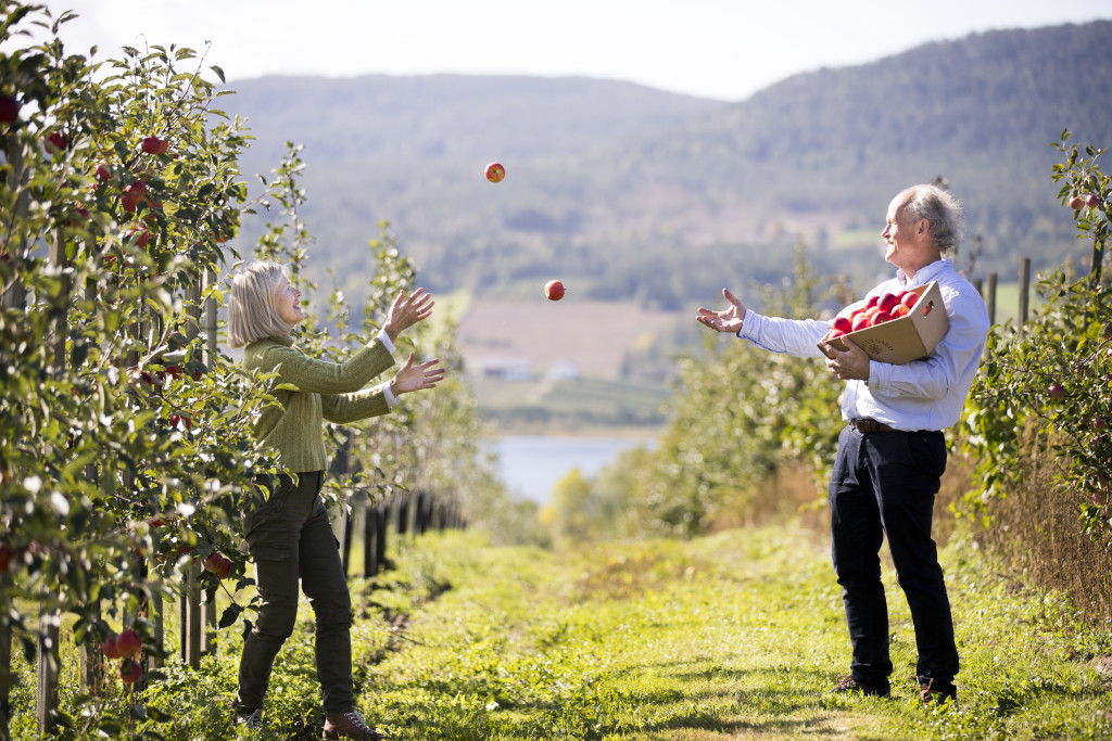 Kari og Halvor i eplehagen