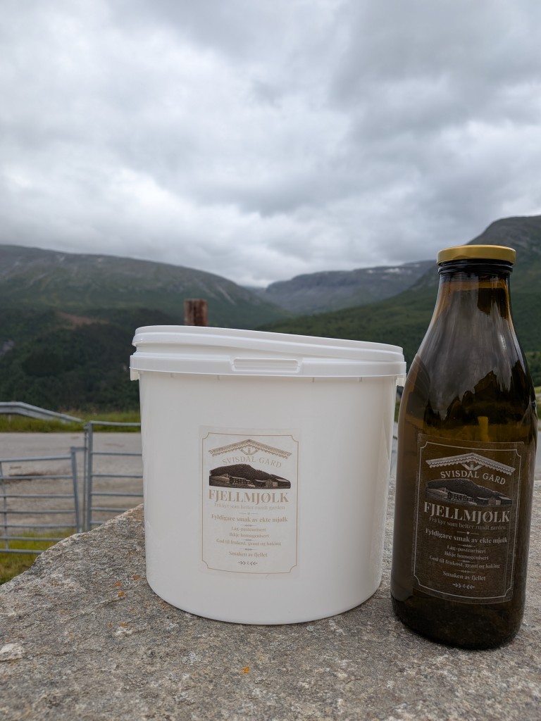 Fjellmjølk vert seld i 1 liter flasker og 5 liter spann
