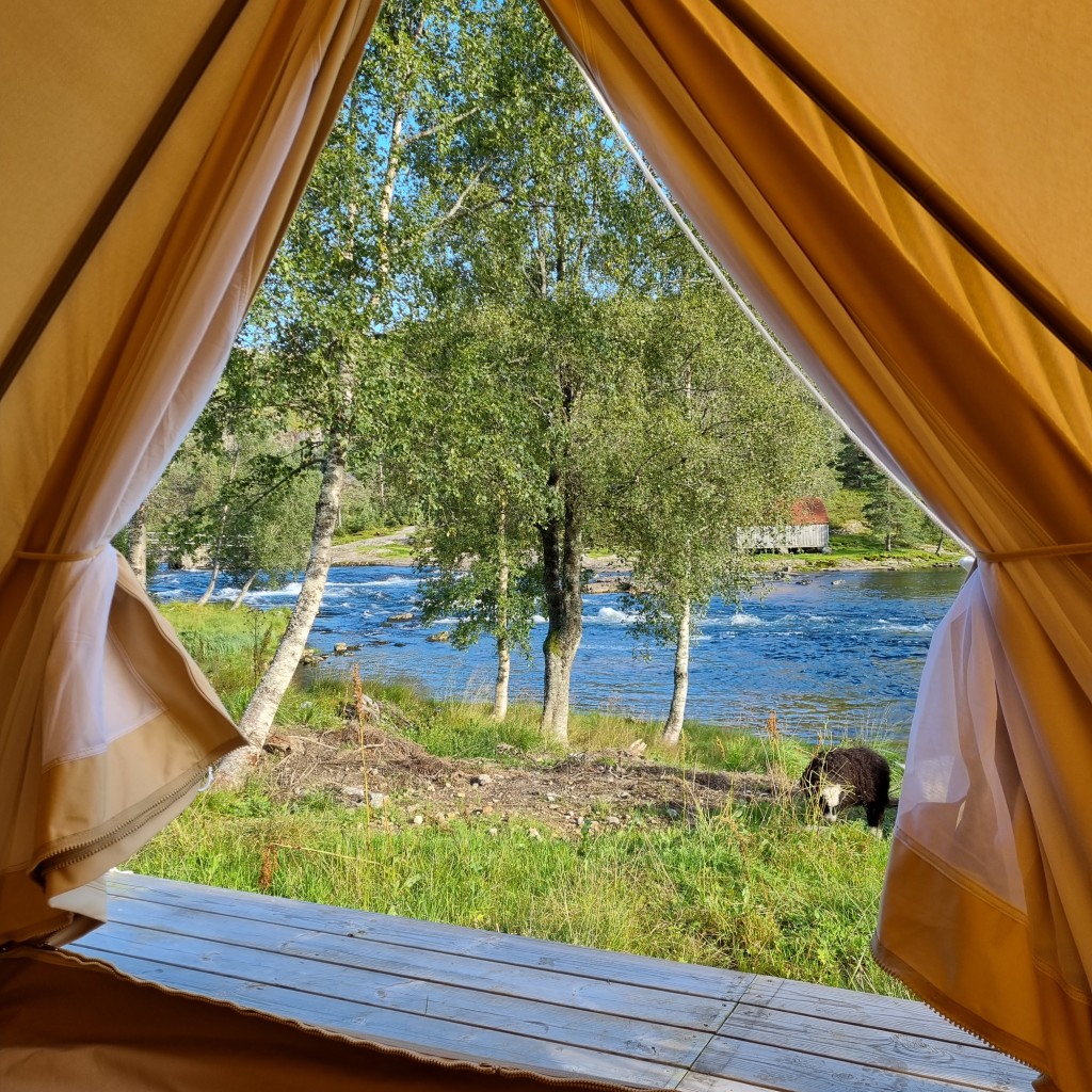 Glamping