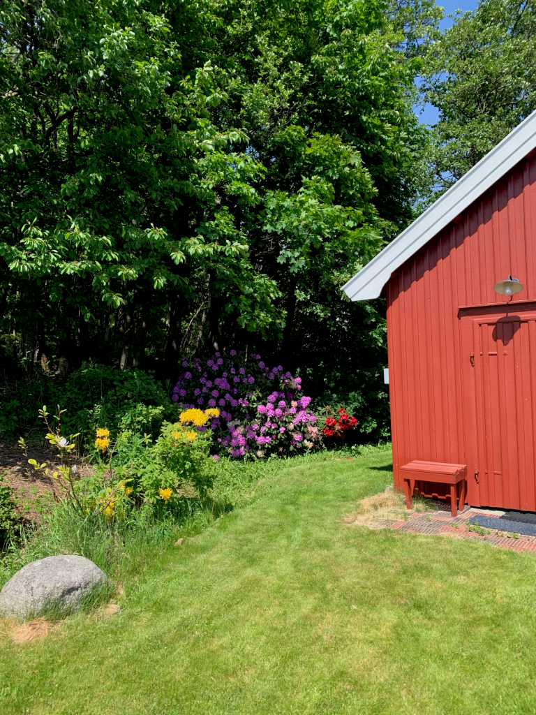 I juni er blomstringen på sitt beste! Smia er dekket i flotte farger