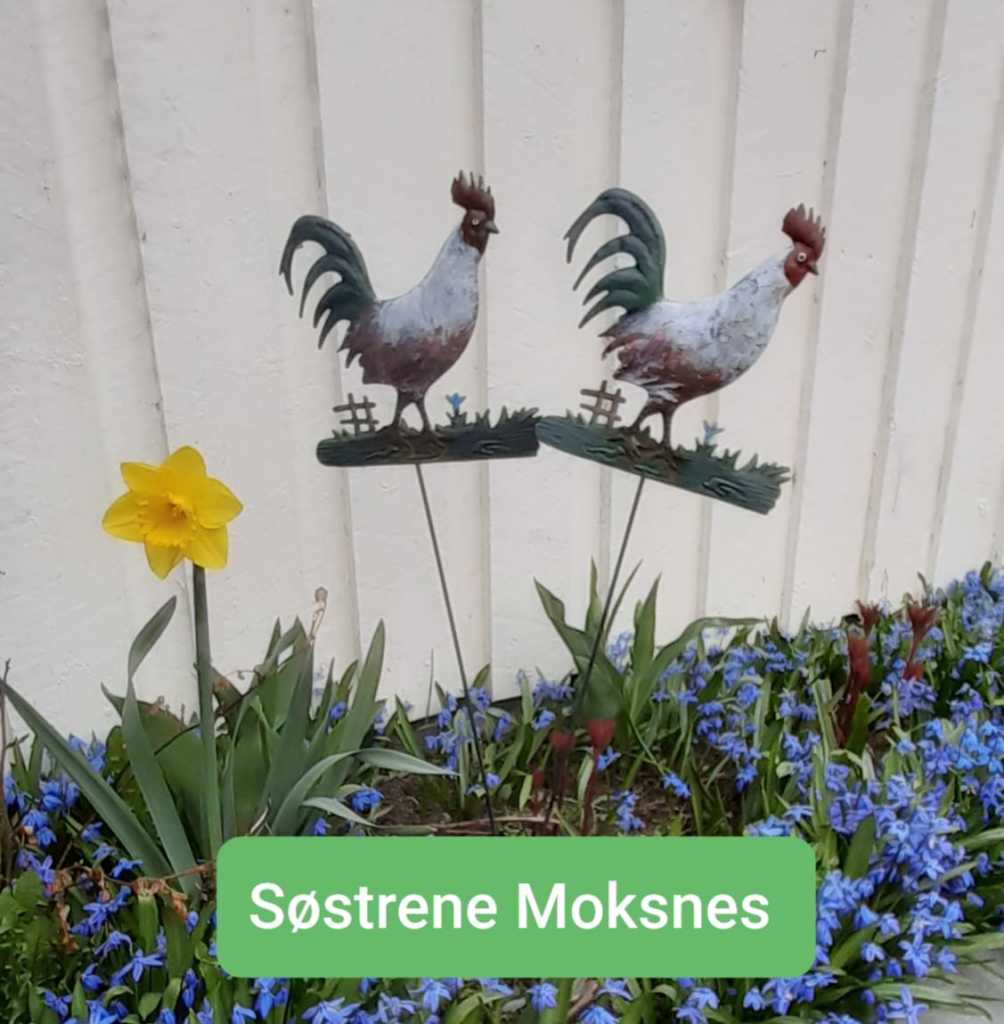 Vår hos Søstrene Moksnes