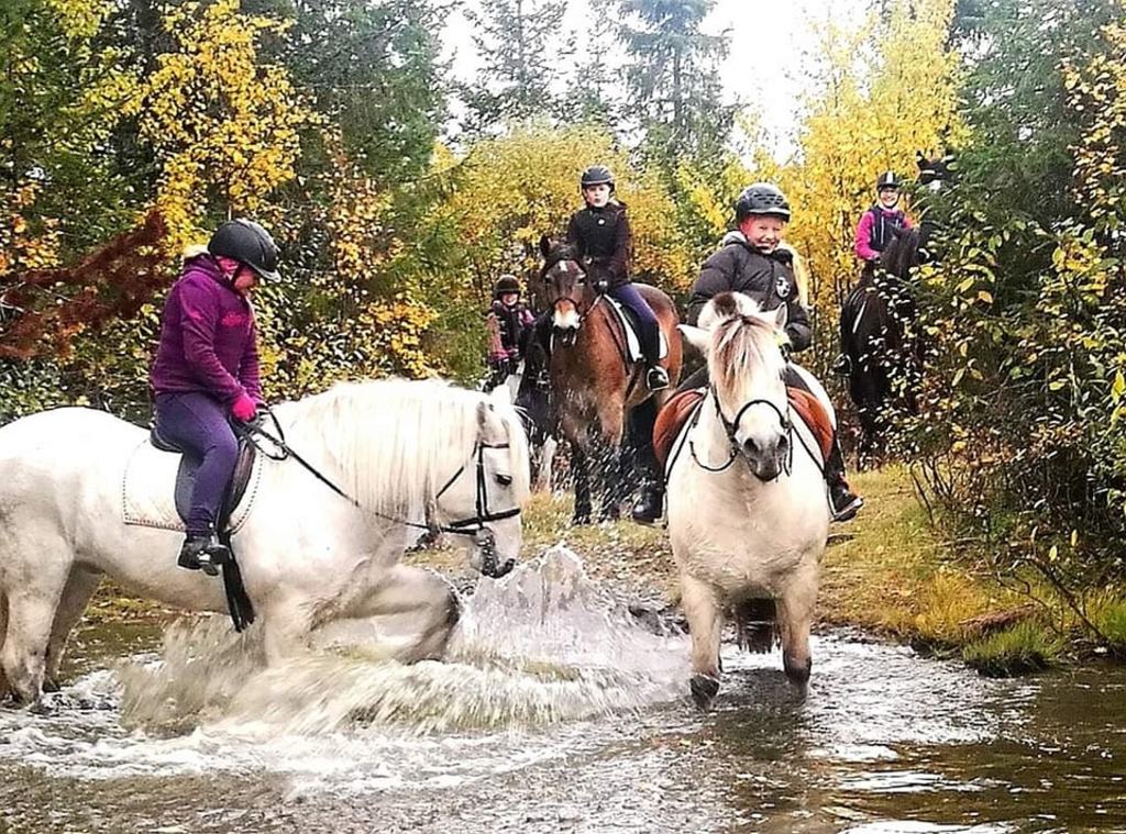 Vi har mange snille hester og ponnier som kan ta med både voksne og bar på tut