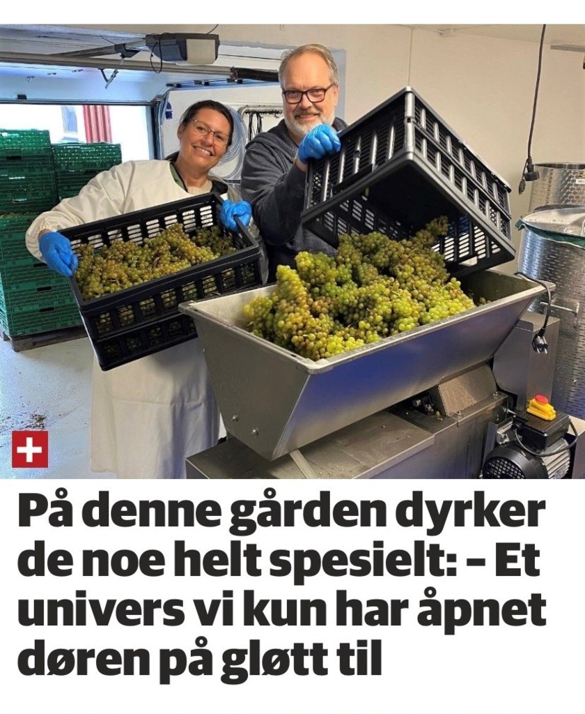 Tønsbergs Blad, Tjøme Vingård