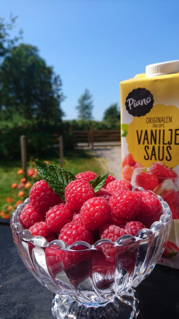 Bringebær med vaniljesaus