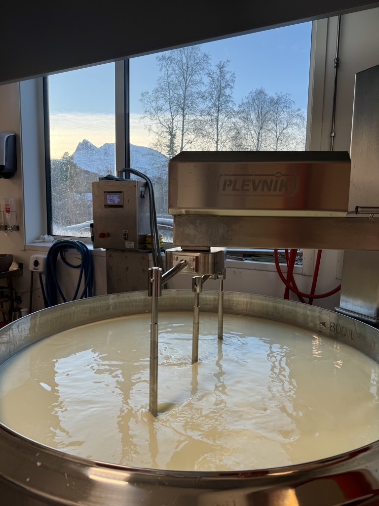 Ysting en tidlig høstmorgen med nysnø i Tellingen.