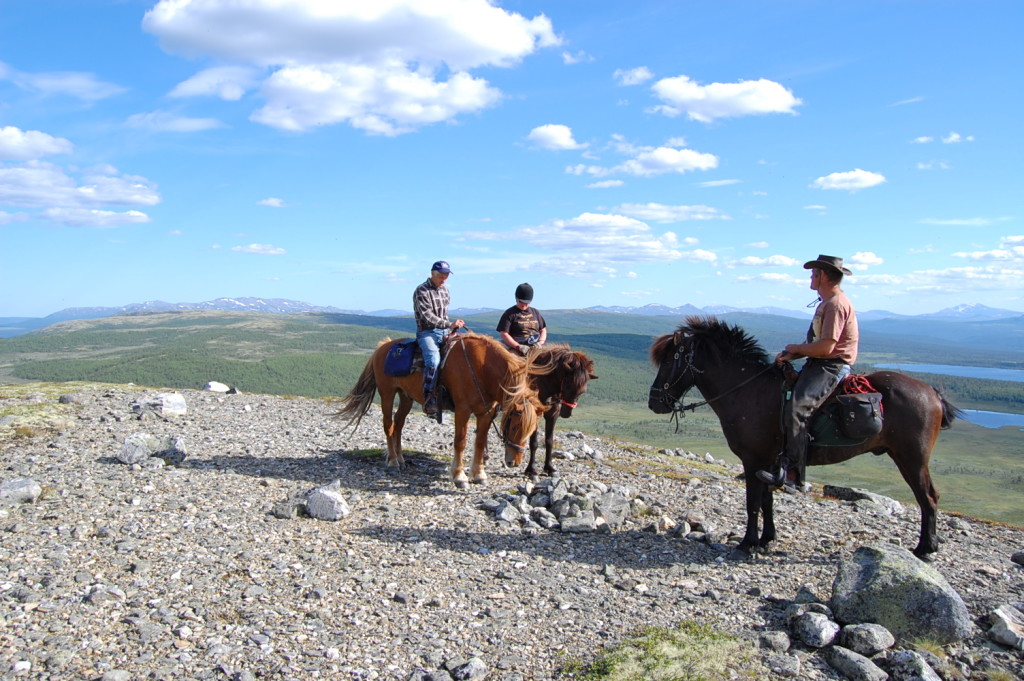 Heidalsmuen med utsikt mot Huldreheimen