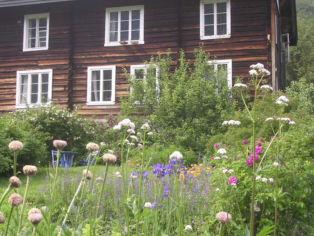 Urtehagen mot solbrun tømmervegg, i huset som diktaren Olav Aukrust voks opp i.