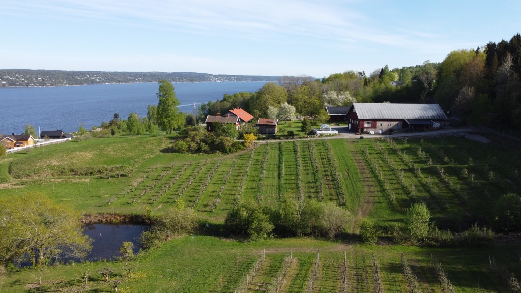 Eplegården ved Drøbaksundet.