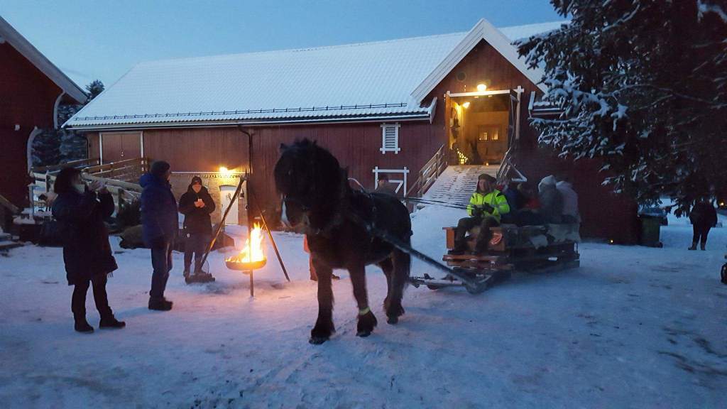 Gammeldags julestemning med kanefart